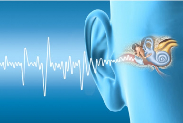 Suono: come arriva al nostro cervello?
